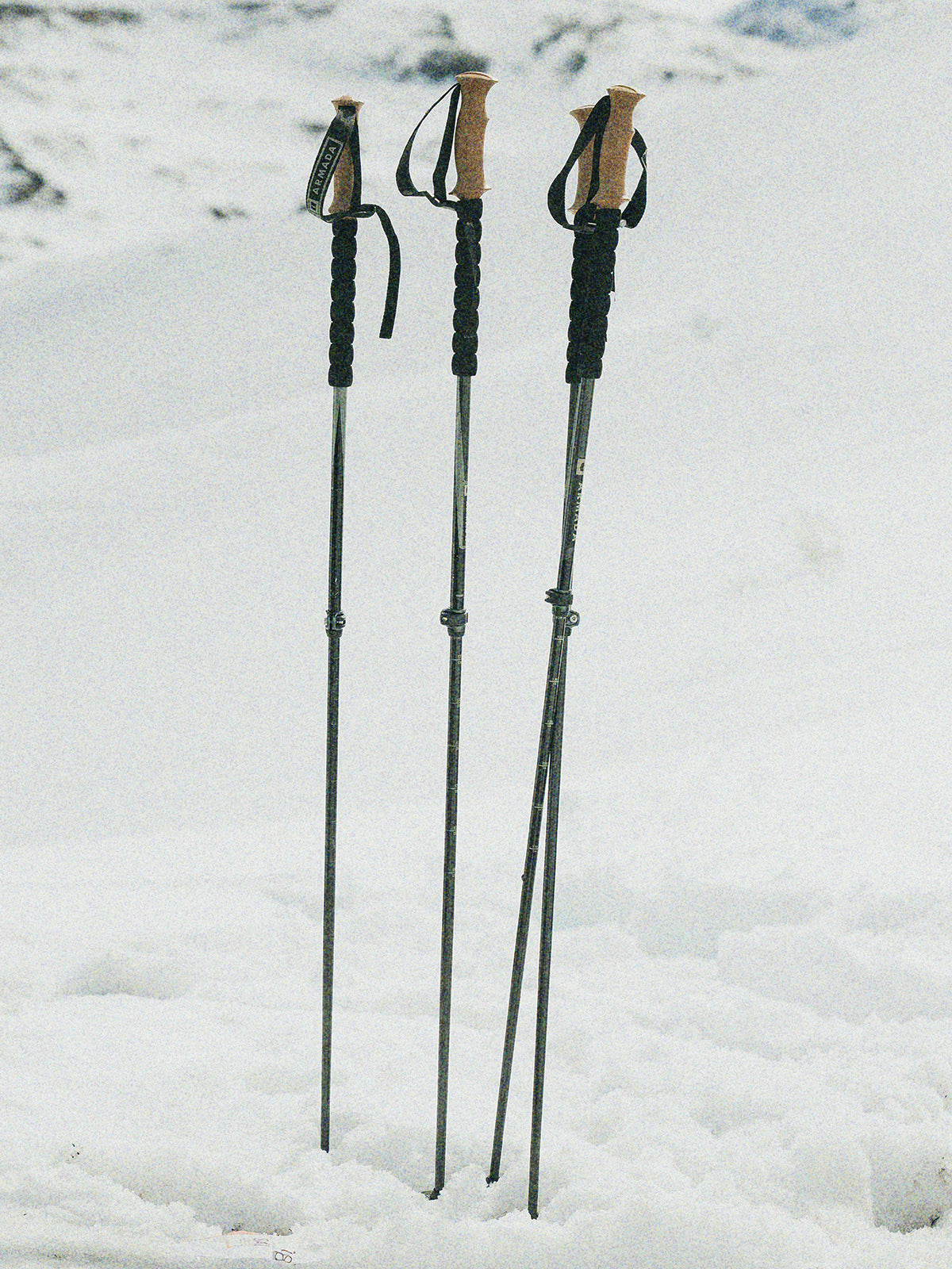  CARBON ADJUSTABLE POLE