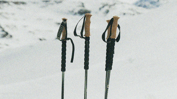  CARBON ADJUSTABLE POLE