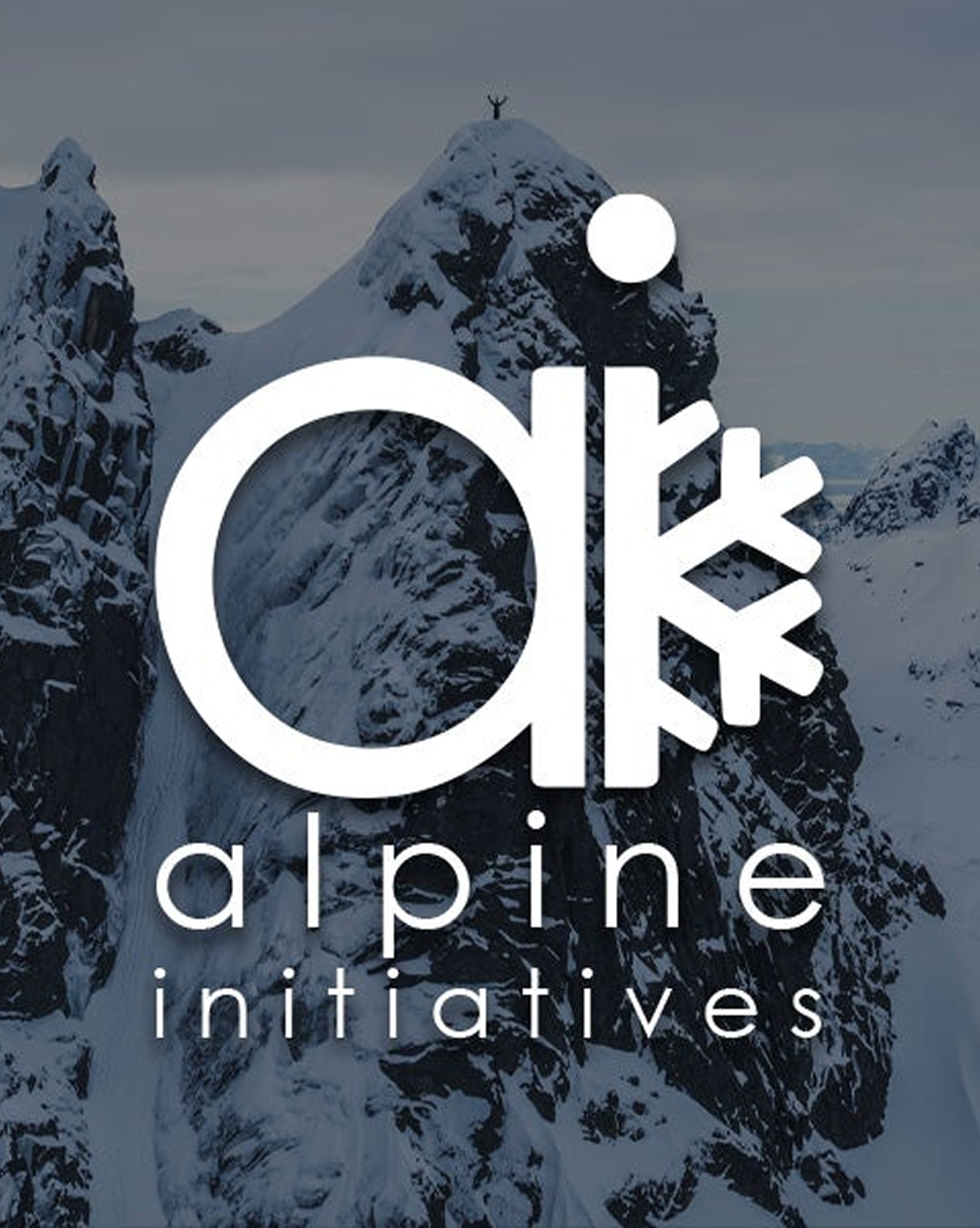 Alpine initiatives