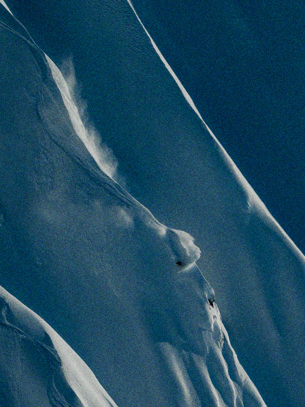 Freeride Skis