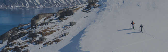 Touring Skis