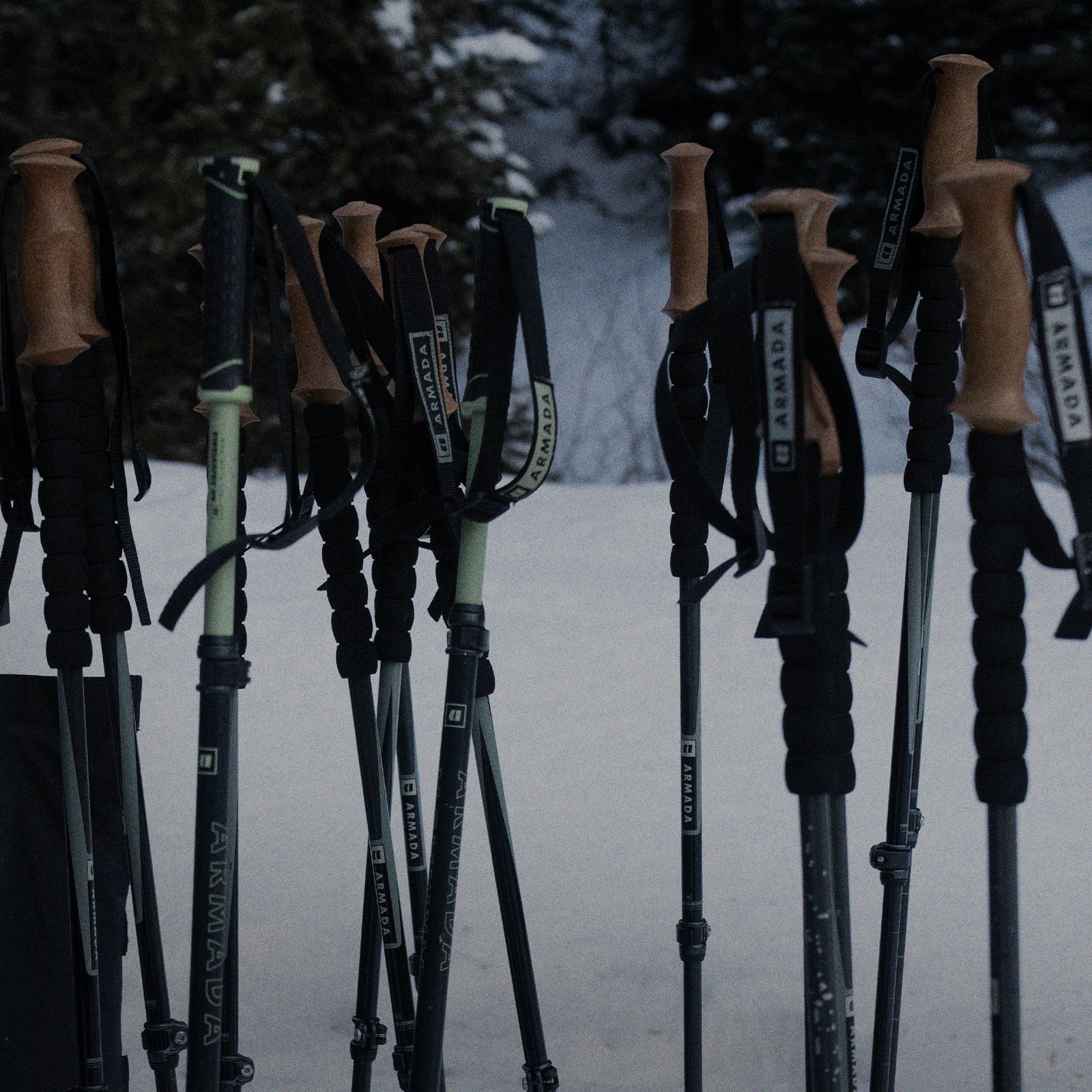 Skier holding gear