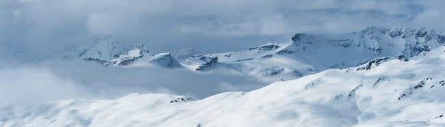 Natural Freeride Boards