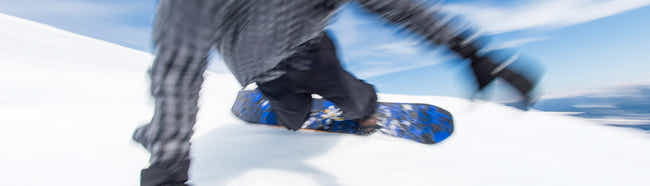 Mens Snowboards